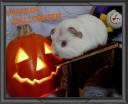  Montage Joyeux halloween 