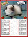 Calendrier 2011